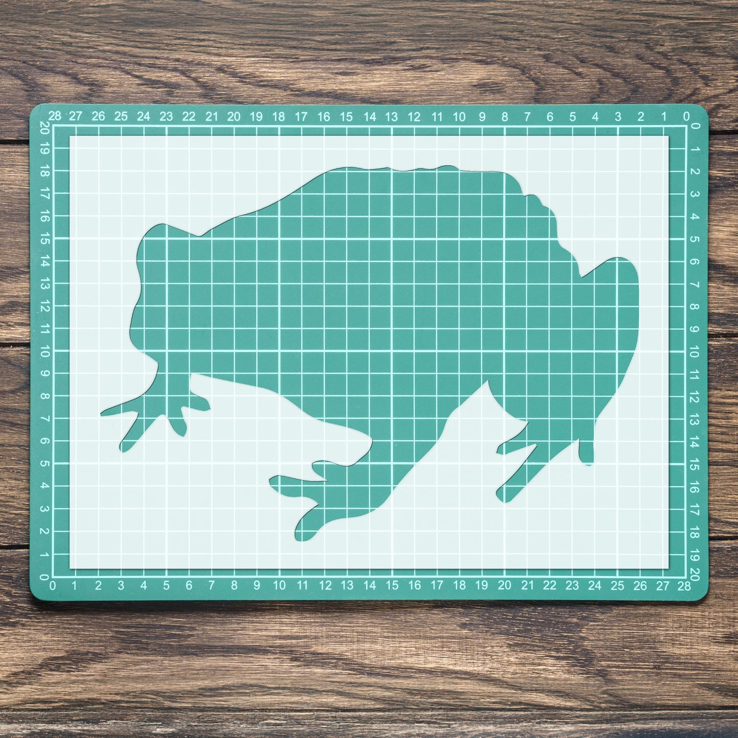 STENCIL TOAD AMPHIBIAN ANIMAL MYLAR PAINTING WALL ART FOUR CRAFTS AIRBRUSH