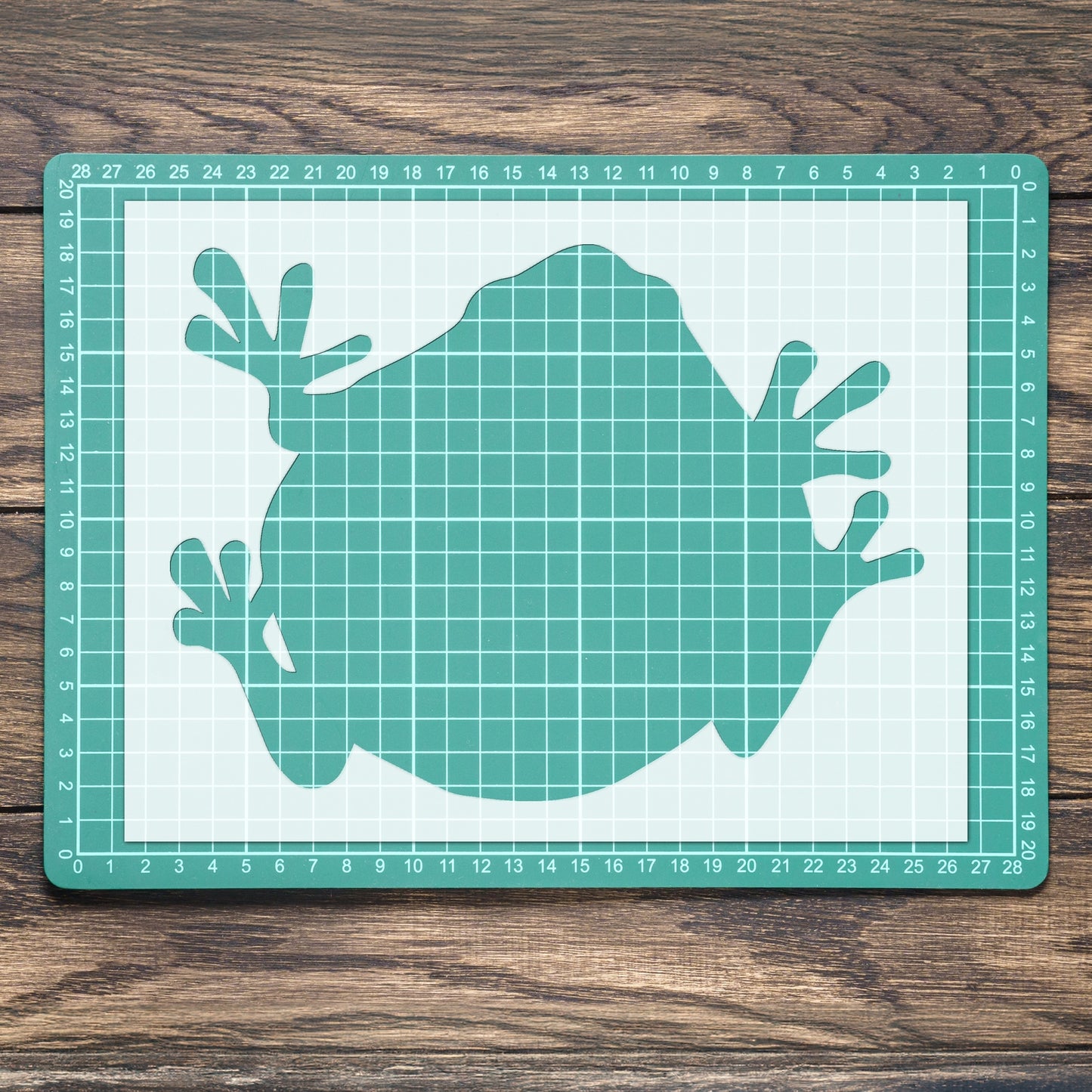 STENCIL TOAD AMPHIBIAN ANIMAL MYLAR PAINTING WALL ART TWO CRAFTS AIRBRUSH