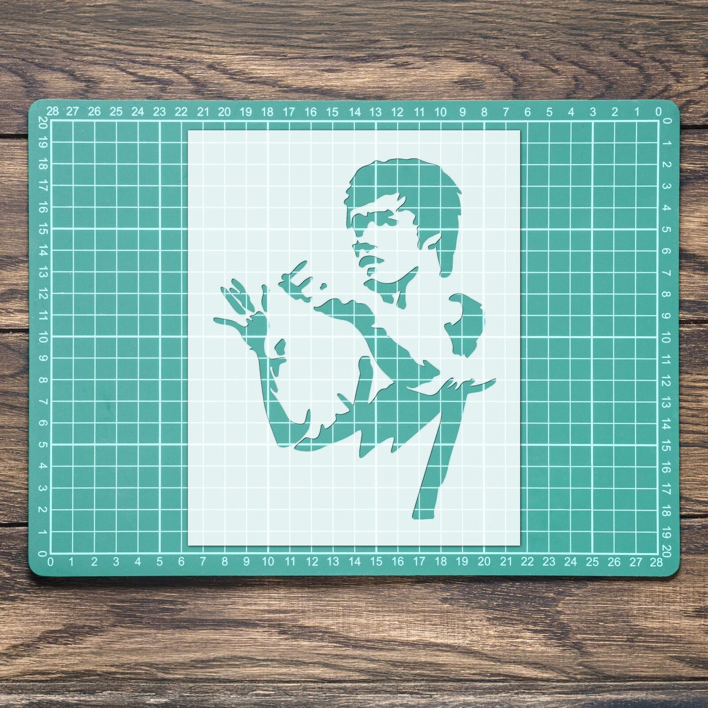 STENCIL BRUCE LEE FIGHTING MARTIAL ARTS MYLAR PAINTING WALL ART CRAFT  AIRBRUSH