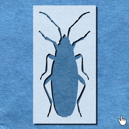 STENCIL APTERUS BEETLE BUG MYLAR  PAINTING WALL ART  CRAFTS  AIRBRUSH