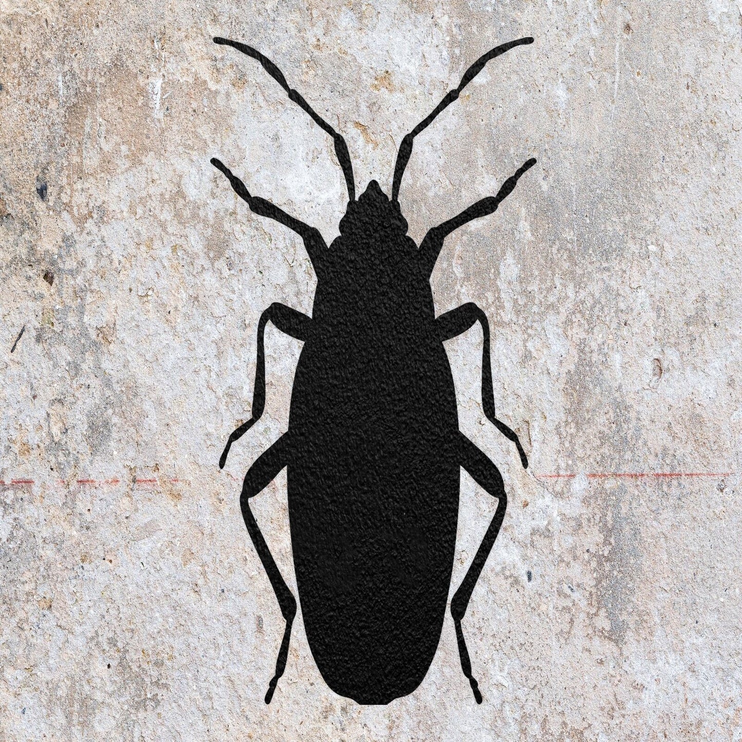 STENCIL APTERUS BEETLE BUG MYLAR  PAINTING WALL ART  CRAFTS  AIRBRUSH