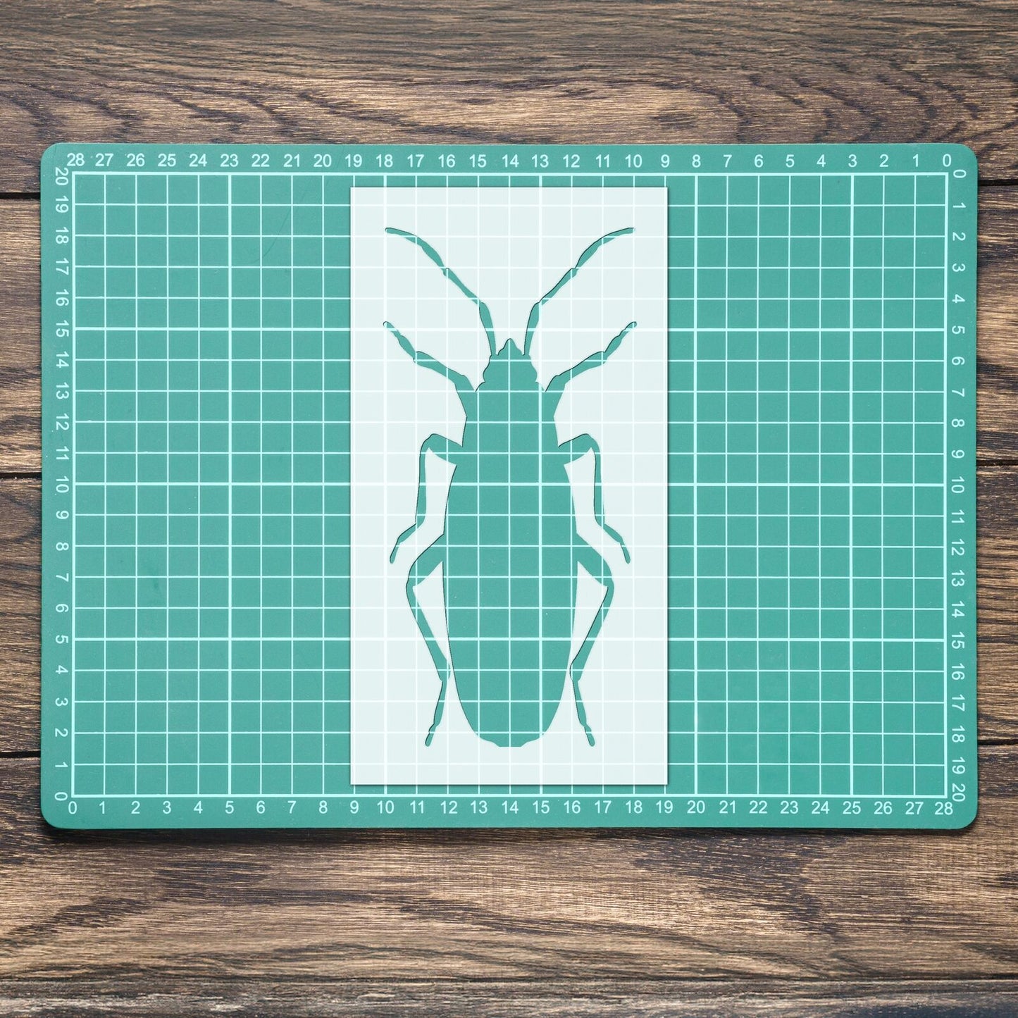 STENCIL APTERUS BEETLE BUG MYLAR  PAINTING WALL ART  CRAFTS  AIRBRUSH