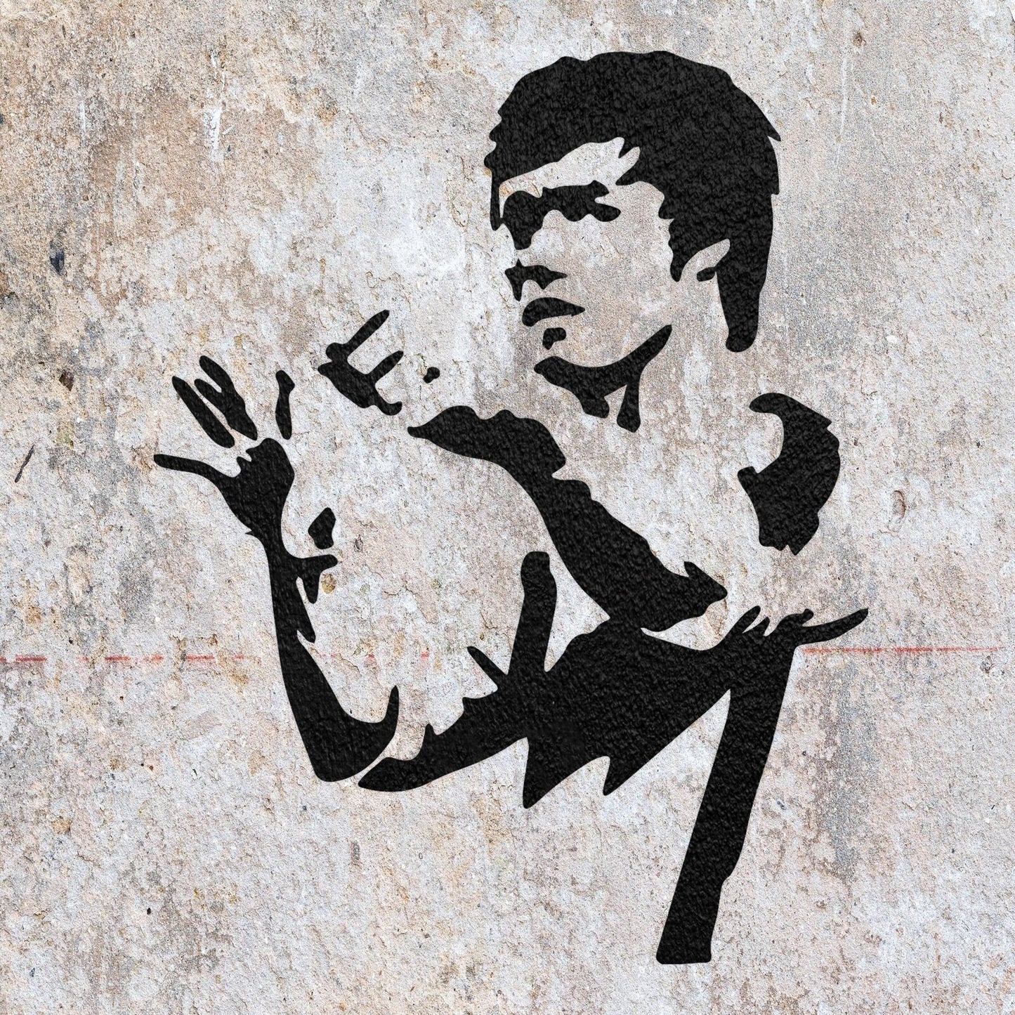STENCIL BRUCE LEE FIGHTING MARTIAL ARTS MYLAR PAINTING WALL ART CRAFT  AIRBRUSH